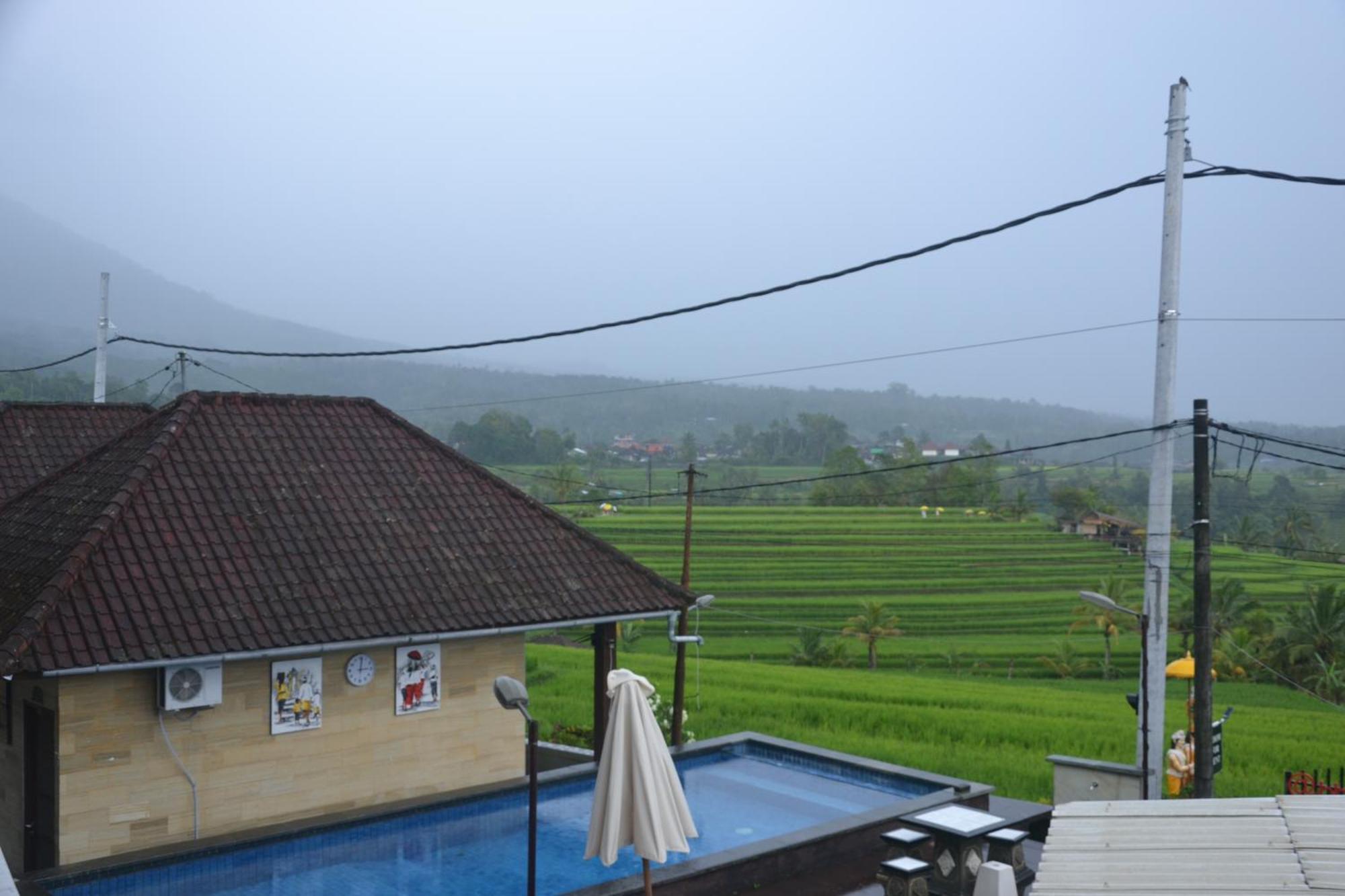 Bhuana Agung Villa And Restaurant Jatiluwih Exterior photo